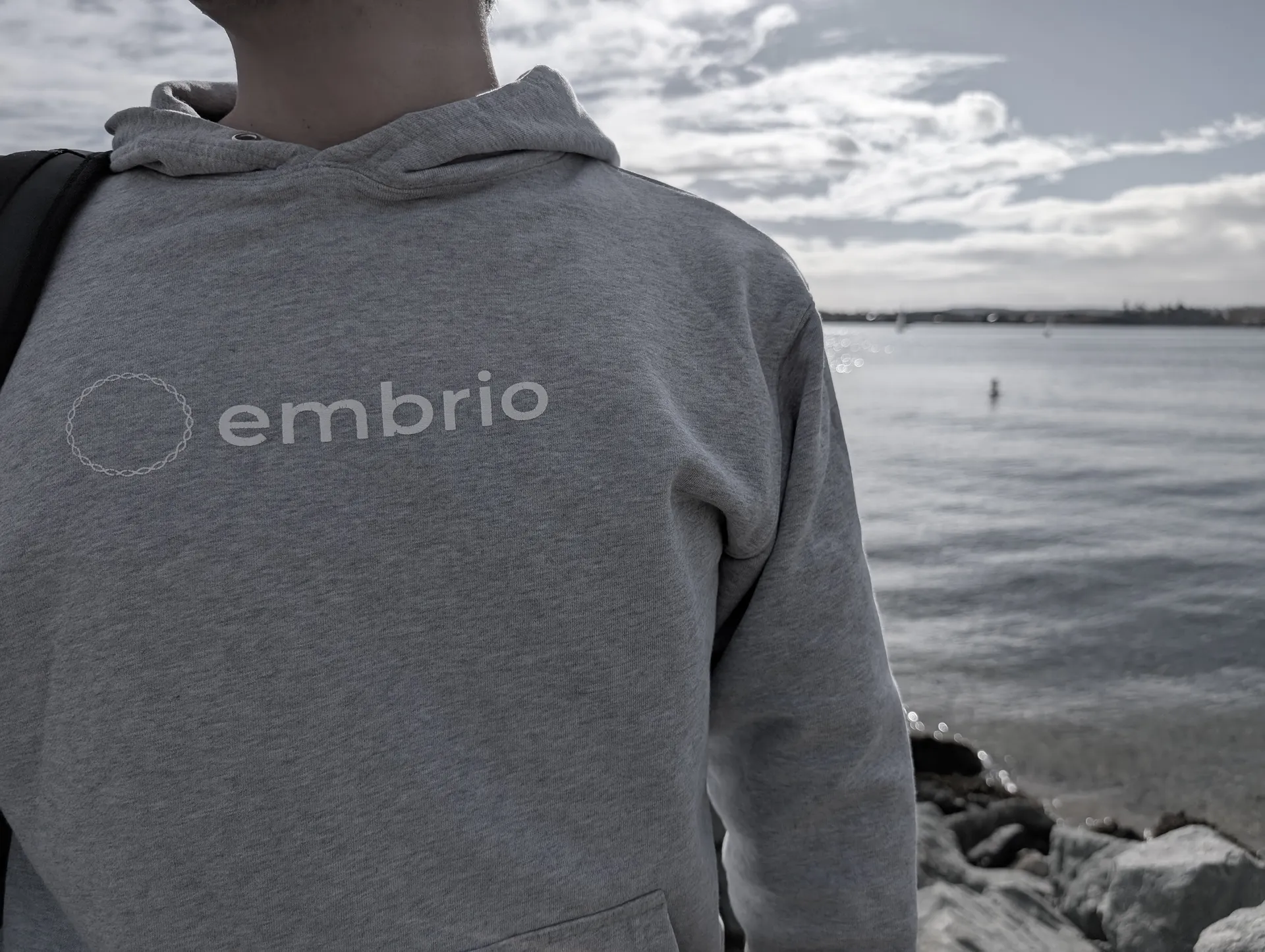 embrio团队